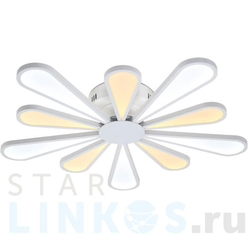 Купить Потолочная люстра Lucia Tucci Miracoli 202.10 LED за 71 480 руб. в Туле Купить с доставкой Потолочная люстра Lucia Tucci Miracoli 202.10 LED в Туле