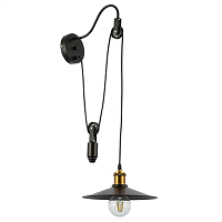 Купить Подвесной светильник Evoluce Esperazza SLE120501-01 в Туле