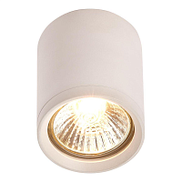 Купить Потолочный светильник IMEX IL.0005.5015 в Туле