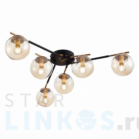 Купить Потолочная люстра Evoluce LITERNO SLE106902-06 за 9 010 руб. в Туле фото 2 Купить с доставкой Потолочная люстра Evoluce LITERNO SLE106902-06 в Туле фото 2