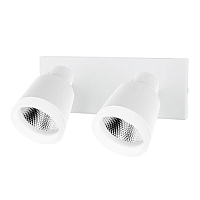 Купить Светодиодный спот Elvan NLS-1202/2x5W-NH-WH в Туле