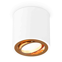 Купить Комплект накладного светильника Ambrella light Techno Spot XS7531004 SWH/PYG белый песок/золото желтое полированное (C7531, N7004) в Туле
