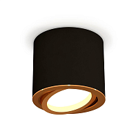 Купить Накладной светильник Ambrella light XS7402003 (C7402, N7004) в Туле
