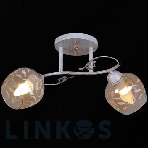 Купить Потолочный светильник Reluce 12458-0.3-02 за 1 640 руб. в Туле Купить с доставкой Потолочный светильник Reluce 12458-0.3-02 в Туле