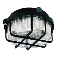 Купить Настенно-потолочный светильник TDM Electric НПП 03-100-005.04 SQ0311-0002 в Туле