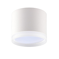 Купить Накладной потолочный светильник Ritter Arton 59946 3 в Туле