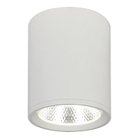 Купить Потолочный светодиодный светильник Escada 20003SMU/02LED SWH в Туле