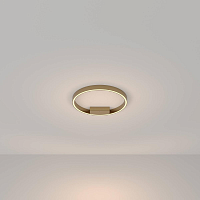 Купить Потолочный светильник Maytoni Rim MOD058CL-L25BS3K в Туле