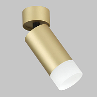 Купить Спот IMEX Leon GU10 IL.0005.4801 MG в Туле