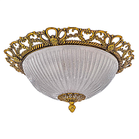 Купить Потолочный светильник Arti Lampadari Vigilanza E 1.13.46 AG в Туле