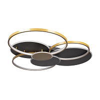 Купить Потолочный светодиодный светильник Loft IT Megan 10163 Black в Туле