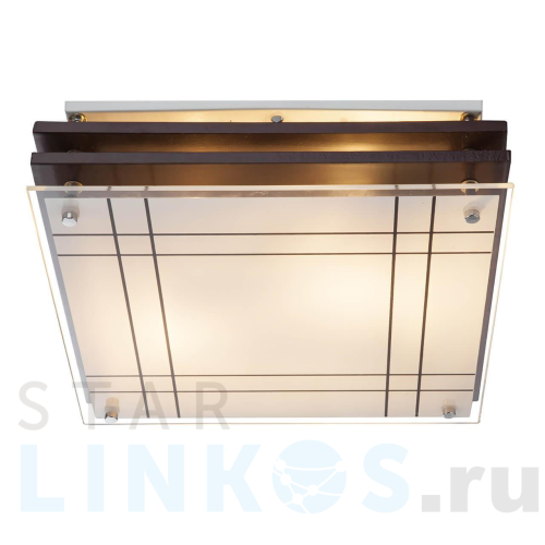 Купить Потолочный светильник Globo Kadavu 48089-2 за 9 870 руб. в Туле Купить с доставкой Потолочный светильник Globo Kadavu 48089-2 в Туле