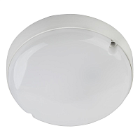 Купить Настенно-потолочный светильник ЭРА SPB-201-0-65К-012 Б0047620 в Туле