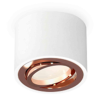 Купить Комплект накладного светильника Ambrella light Techno Spot XS7510005 SWH/PPG белый песок/золото розовое полированное (C7510, N7005) в Туле