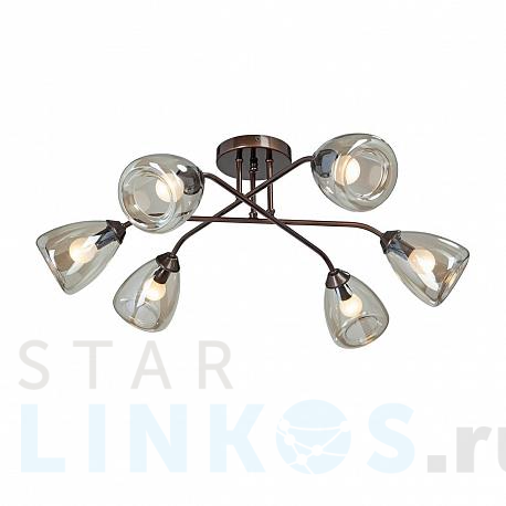 Купить Потолочная люстра Vitaluce V4954-7/6PL за 8 991 руб. в Туле фото 2 Купить с доставкой Потолочная люстра Vitaluce V4954-7/6PL в Туле фото 2