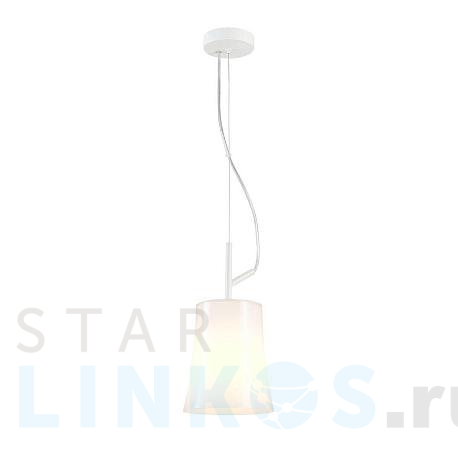 Купить Подвесной светильник Favourite Sigma 2959-1P за 2 000 руб. в Туле фото 2 Купить с доставкой Подвесной светильник Favourite Sigma 2959-1P в Туле фото 2