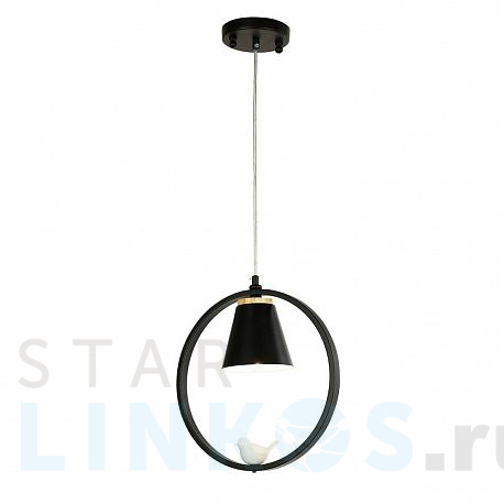 Купить Подвесной светильник F-Promo Uccello 2938-1P за 8 100 руб. в Туле фото 2 Купить с доставкой Подвесной светильник F-Promo Uccello 2938-1P в Туле фото 2