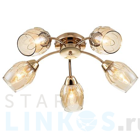 Купить Потолочная люстра Escada Allium 663/5P за 6 990 руб. в Туле фото 2 Купить с доставкой Потолочная люстра Escada Allium 663/5P в Туле фото 2