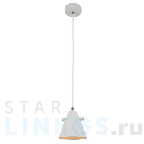 Купить Подвесной светильник Rivoli Chelsea 3141-201 Б0055468 за 3 046 руб. в Туле Купить с доставкой Подвесной светильник Rivoli Chelsea 3141-201 Б0055468 в Туле