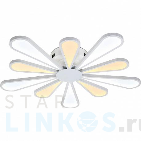 Купить Потолочная люстра Lucia Tucci Miracoli 202.10 LED за 71 480 руб. в Туле фото 2 Купить с доставкой Потолочная люстра Lucia Tucci Miracoli 202.10 LED в Туле фото 2