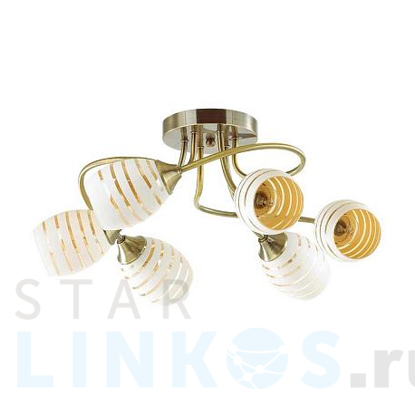 Купить Потолочная люстра Lumion Comfi Dorothy 4528/6C за 3 600 руб. в Туле фото 2 Купить с доставкой Потолочная люстра Lumion Comfi Dorothy 4528/6C в Туле фото 2