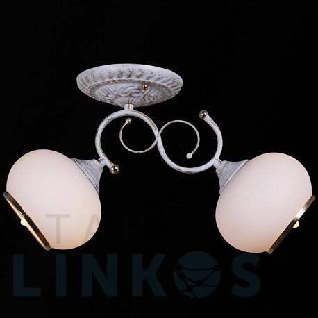 Купить Потолочный светильник Reluce 31404-0.3-02 за 1 580 руб. в Туле фото 2 Купить с доставкой Потолочный светильник Reluce 31404-0.3-02 в Туле фото 2