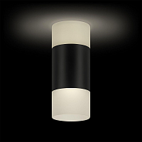 Купить Потолочный светодиодный светильник Ritter Kassel 52064 1 в Туле