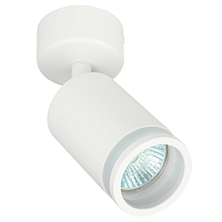 Купить Спот ЭРА OL23 GU10 WH Б0054396 в Туле