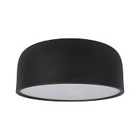 Купить Потолочный светодиодный светильник Loft IT Axel 10201/350 Black в Туле