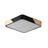 Купить Потолочный светильник Zortes ALBERRO ZRS.01281.48 в Туле