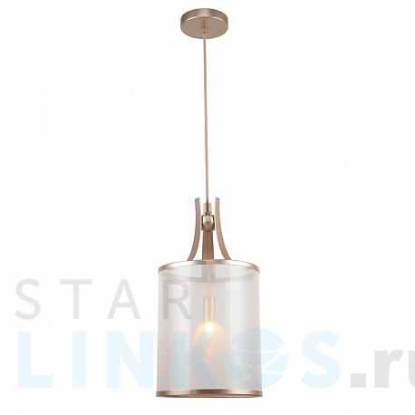 Купить Подвесной светильник Favourite Himiko 2551-1P за 9 200 руб. в Туле фото 2 Купить с доставкой Подвесной светильник Favourite Himiko 2551-1P в Туле фото 2