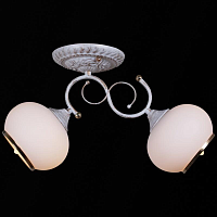 Купить Потолочный светильник Reluce 31404-0.3-02 в Туле