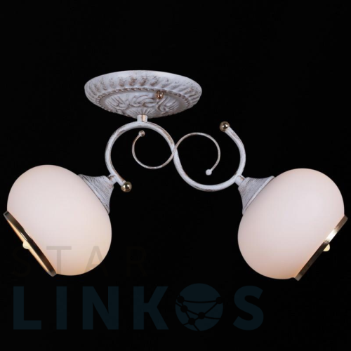 Купить Потолочный светильник Reluce 31404-0.3-02 за 1 580 руб. в Туле Купить с доставкой Потолочный светильник Reluce 31404-0.3-02 в Туле